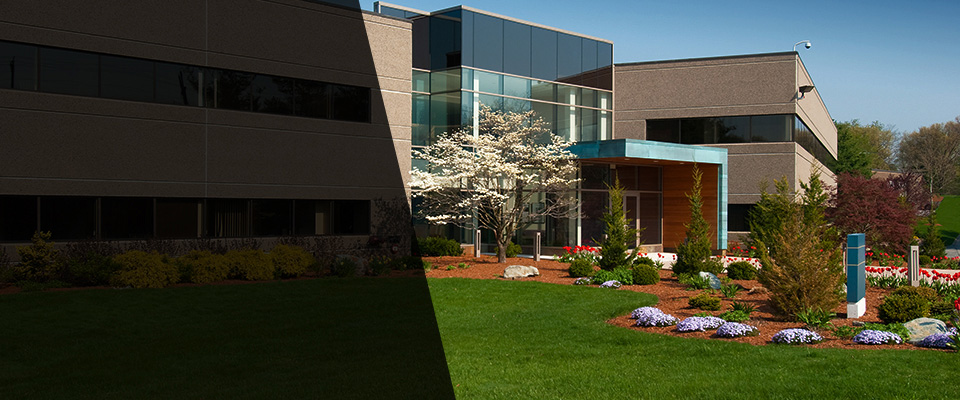 Castle Rock Landscapers